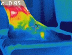 猫球未使用時足が冷えている